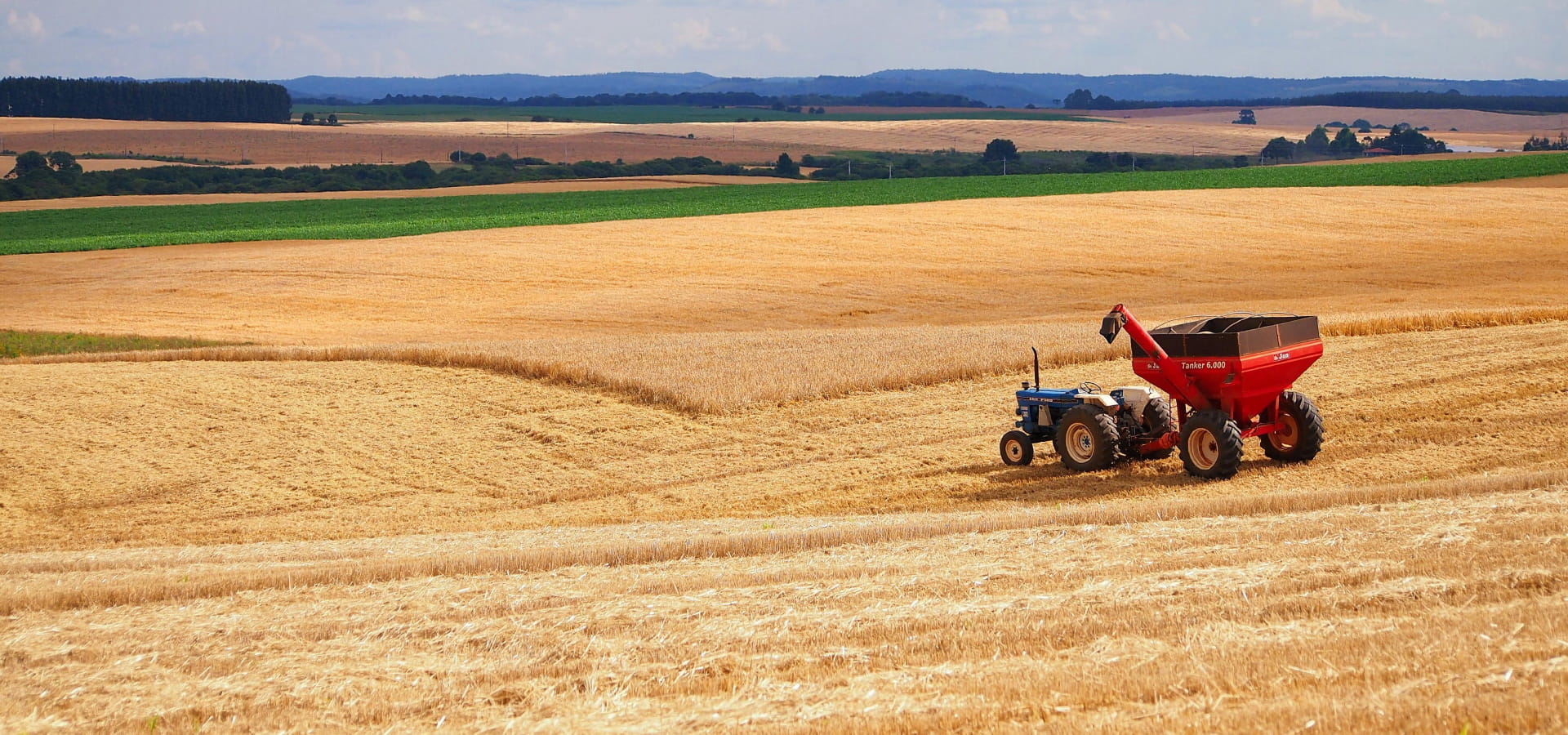 Agriculture Products